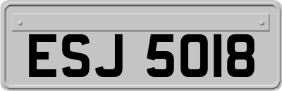ESJ5018