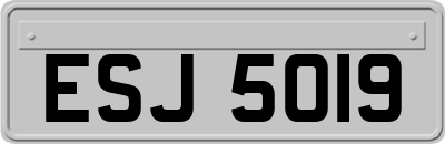 ESJ5019