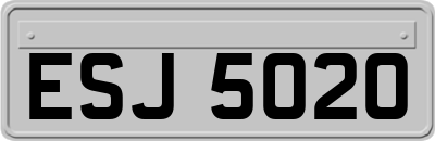 ESJ5020