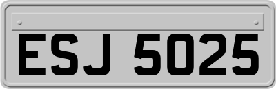 ESJ5025