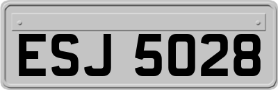 ESJ5028