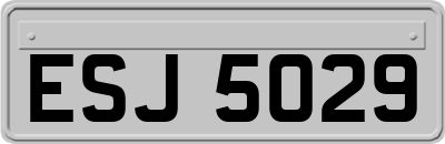 ESJ5029