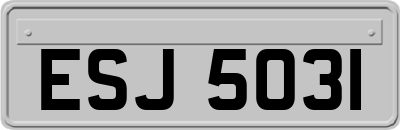ESJ5031
