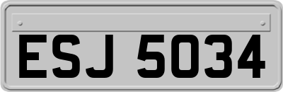 ESJ5034