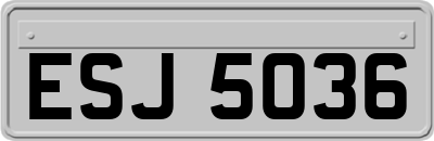 ESJ5036