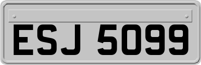 ESJ5099
