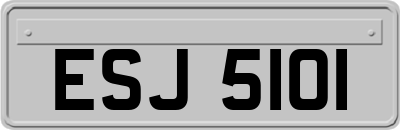 ESJ5101