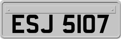 ESJ5107