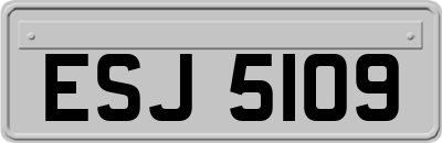 ESJ5109