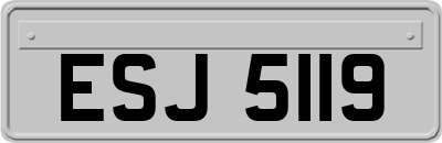 ESJ5119