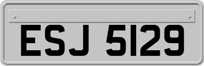 ESJ5129