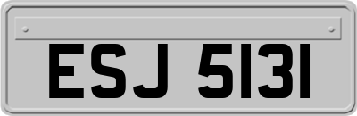 ESJ5131