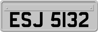 ESJ5132