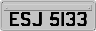 ESJ5133