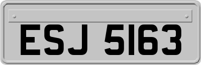 ESJ5163