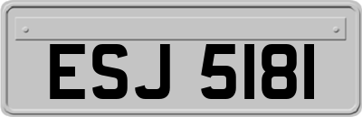 ESJ5181