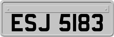 ESJ5183