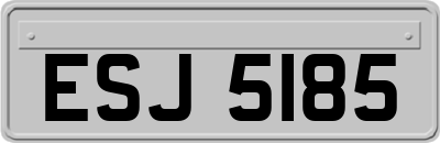 ESJ5185