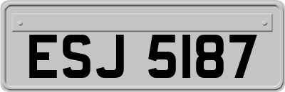 ESJ5187