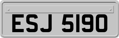 ESJ5190