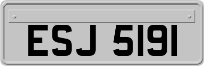ESJ5191