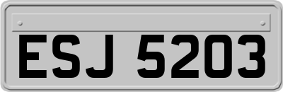 ESJ5203