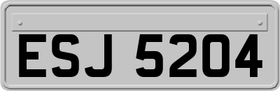 ESJ5204
