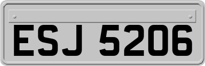 ESJ5206