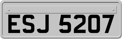 ESJ5207