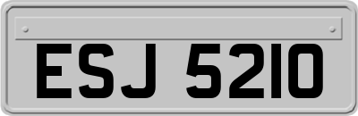 ESJ5210