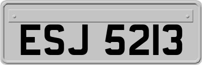 ESJ5213