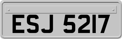 ESJ5217