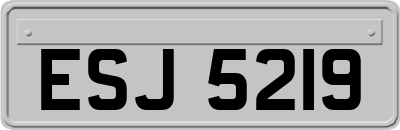 ESJ5219