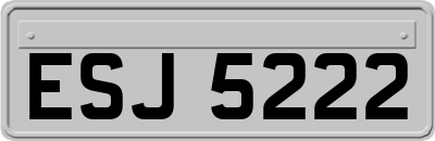 ESJ5222