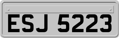 ESJ5223