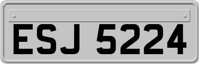ESJ5224