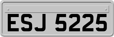 ESJ5225