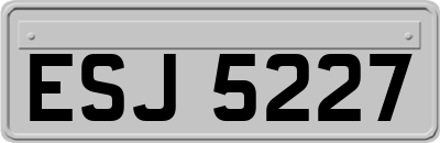 ESJ5227