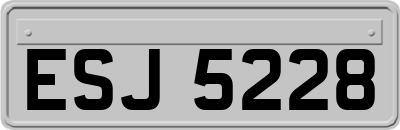 ESJ5228