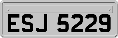 ESJ5229