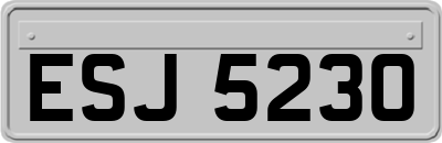 ESJ5230