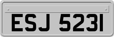 ESJ5231