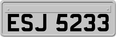 ESJ5233