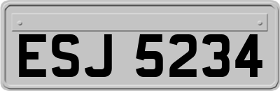 ESJ5234