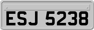 ESJ5238