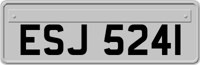 ESJ5241