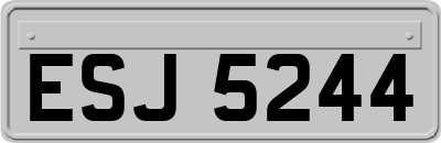 ESJ5244