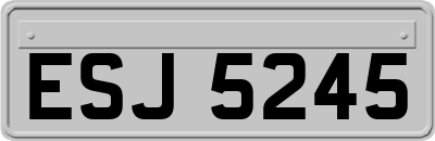 ESJ5245