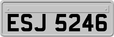 ESJ5246