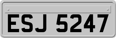 ESJ5247